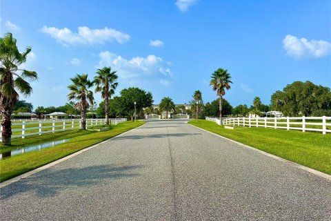 Terreno en venta en Webster, Florida № 1369828 - foto 8