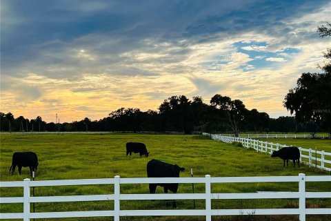 Land in Webster, Florida № 1369828 - photo 23