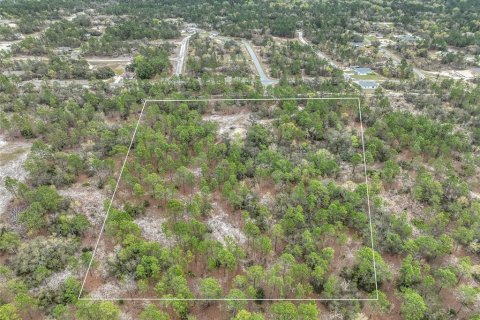 Terrain à vendre à Dunnellon, Floride № 1369827 - photo 8