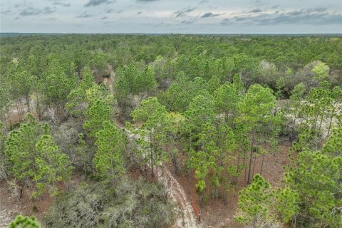 Terrain à vendre à Dunnellon, Floride № 1369827 - photo 3