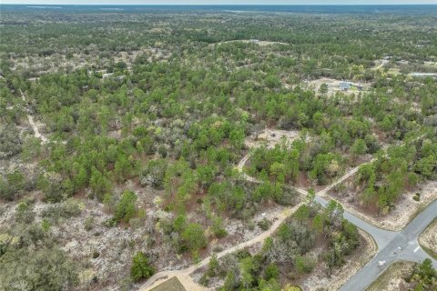 Land in Dunnellon, Florida № 1369827 - photo 5