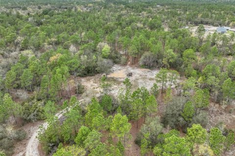 Terrain à vendre à Dunnellon, Floride № 1369827 - photo 4