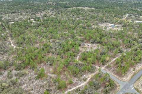 Terrain à vendre à Dunnellon, Floride № 1369827 - photo 6