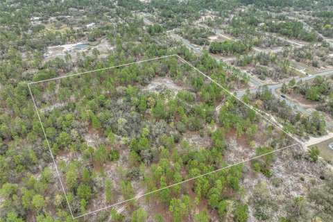 Terrain à vendre à Dunnellon, Floride № 1369827 - photo 7