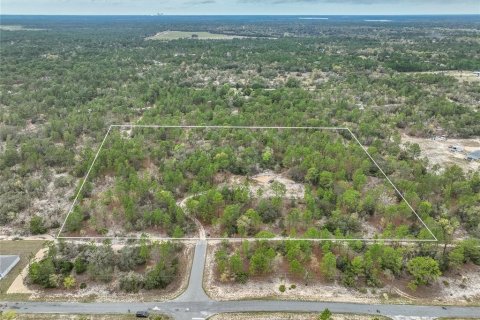 Terreno en venta en Dunnellon, Florida № 1369827 - foto 10