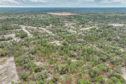 Land in Dunnellon, Florida № 1369827 - photo 9