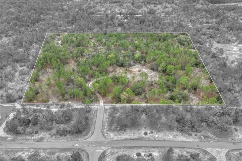 Terrain à vendre à Dunnellon, Floride № 1369827 - photo 1