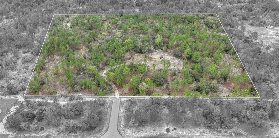 Land in Dunnellon, Florida № 1369827