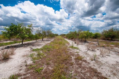 Terreno en venta en Punta Gorda, Florida № 1218226 - foto 4