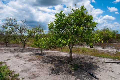 Land in Punta Gorda, Florida № 1218226 - photo 2