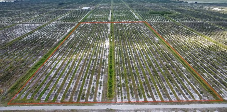 Terrain à Punta Gorda, Floride № 1218226