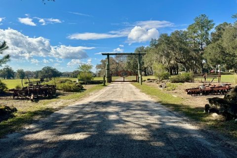 Terrain à vendre à Ocala, Floride № 1349943 - photo 3