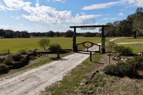 Terrain à vendre à Ocala, Floride № 1349943 - photo 4