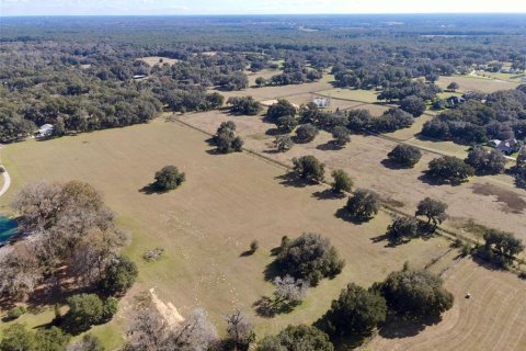 Terrain à vendre à Ocala, Floride № 1349943 - photo 5