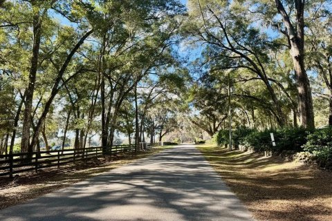 Land in Ocala, Florida № 1349943 - photo 2