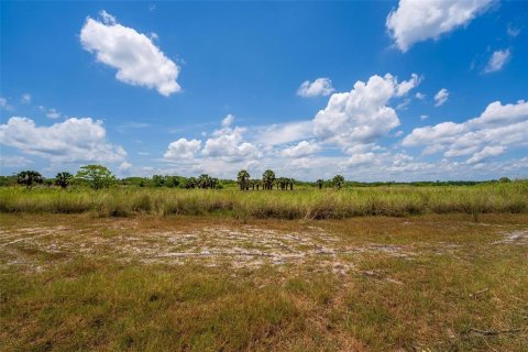 Terreno en venta en Geneva, Florida № 1277817 - foto 7