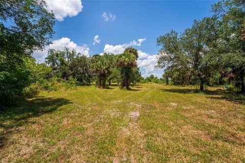 Terreno en venta en Geneva, Florida № 1277817 - foto 14