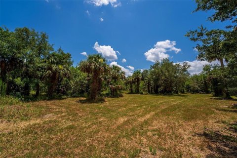 Terreno en venta en Geneva, Florida № 1277817 - foto 2