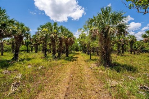 Terreno en venta en Geneva, Florida № 1277817 - foto 12