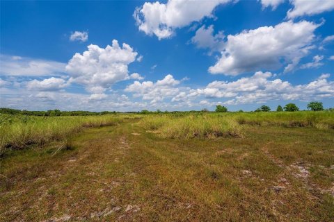 Terreno en venta en Geneva, Florida № 1277817 - foto 9