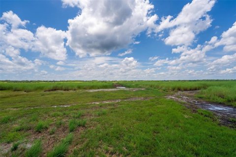 Terreno en venta en Geneva, Florida № 1277817 - foto 4