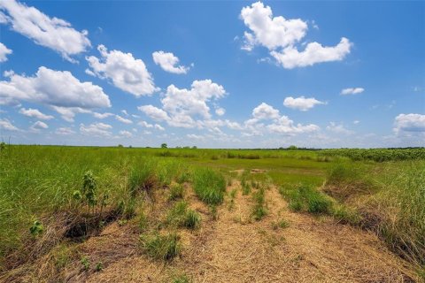 Terreno en venta en Geneva, Florida № 1277817 - foto 6