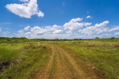 Terreno en venta en Geneva, Florida № 1277817 - foto 11