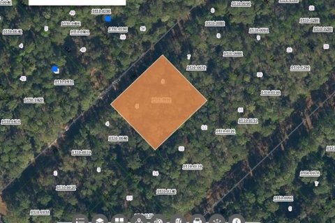 Terreno en venta en Georgetown, Florida № 1375050 - foto 1