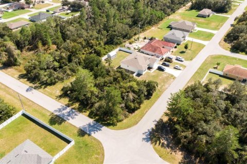 Land in Ocala, Florida № 1404803 - photo 1