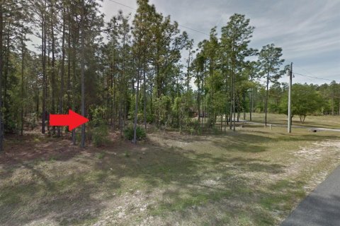 Land in Ocala, Florida № 1359607 - photo 1