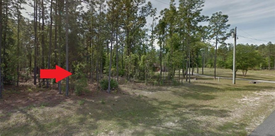 Land in Ocala, Florida № 1359607