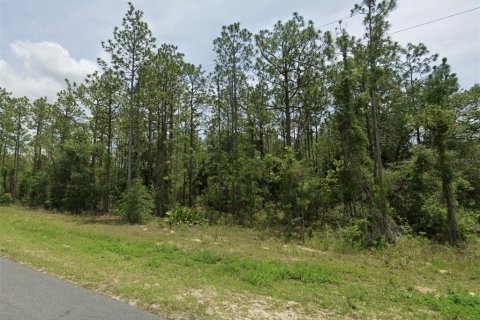 Terreno en venta en Ocala, Florida № 1359607 - foto 3