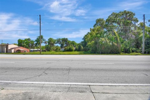Land in DeLand, Florida № 1083044 - photo 6
