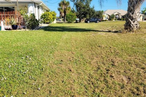 Terreno en venta en Port Charlotte, Florida № 826393 - foto 22