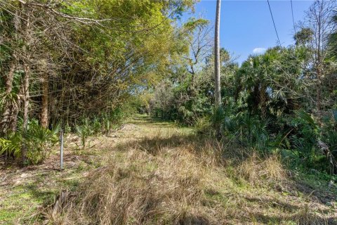 Terreno en venta en Oviedo, Florida № 1352277 - foto 5