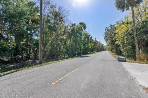 Terreno en venta en Oviedo, Florida № 1352277 - foto 2