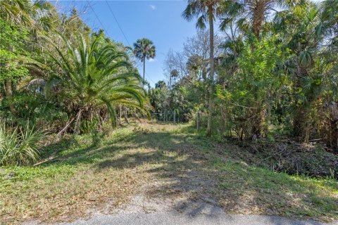 Terreno en venta en Oviedo, Florida № 1352277 - foto 3