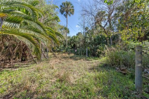 Land in Oviedo, Florida № 1352277 - photo 4