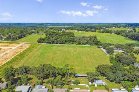 Land in Dade City, Florida № 1347308 - photo 14