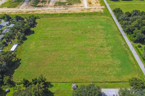 Land in Dade City, Florida № 1347308 - photo 2