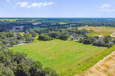 Land in Dade City, Florida № 1347308 - photo 11