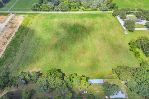 Land in Dade City, Florida № 1347308 - photo 5