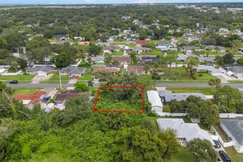 Terreno en venta en Venice, Florida № 1352759 - foto 6