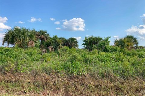 Купить земельный участок в Окичоби, Флорида № 1169664 - фото 25