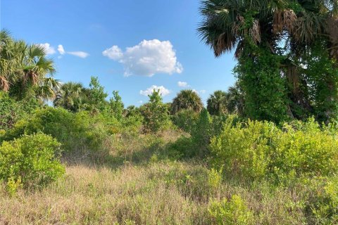 Купить земельный участок в Окичоби, Флорида № 1169664 - фото 11