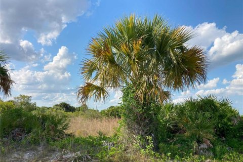 Купить земельный участок в Окичоби, Флорида № 1169664 - фото 24