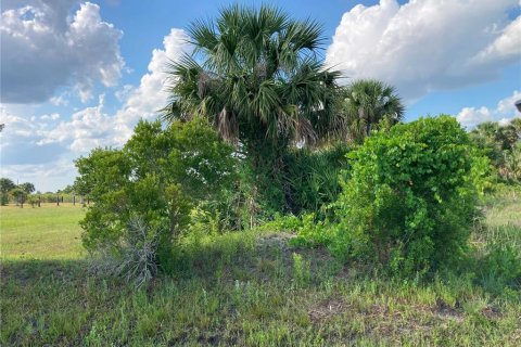 Купить земельный участок в Окичоби, Флорида № 1169664 - фото 5