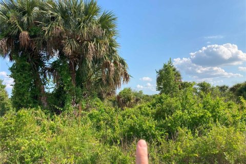 Купить земельный участок в Окичоби, Флорида № 1169664 - фото 2