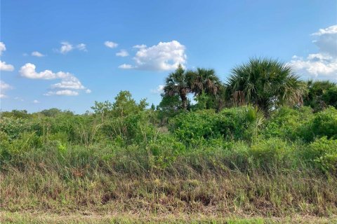 Купить земельный участок в Окичоби, Флорида № 1169664 - фото 23