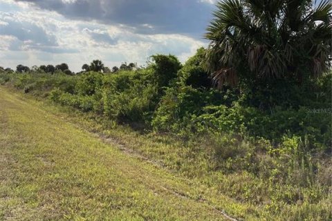 Купить земельный участок в Окичоби, Флорида № 1169664 - фото 15